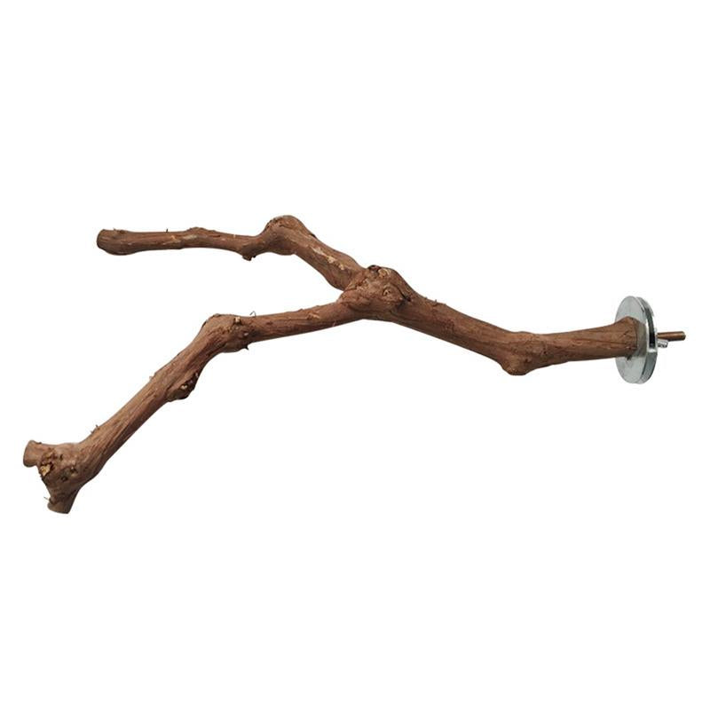 Natural Vine Bird Perch