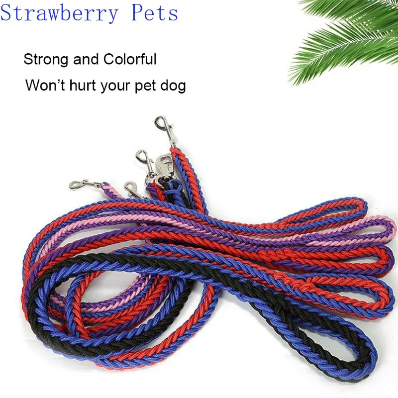 Strong Nylon Dog Leash and Collar Set