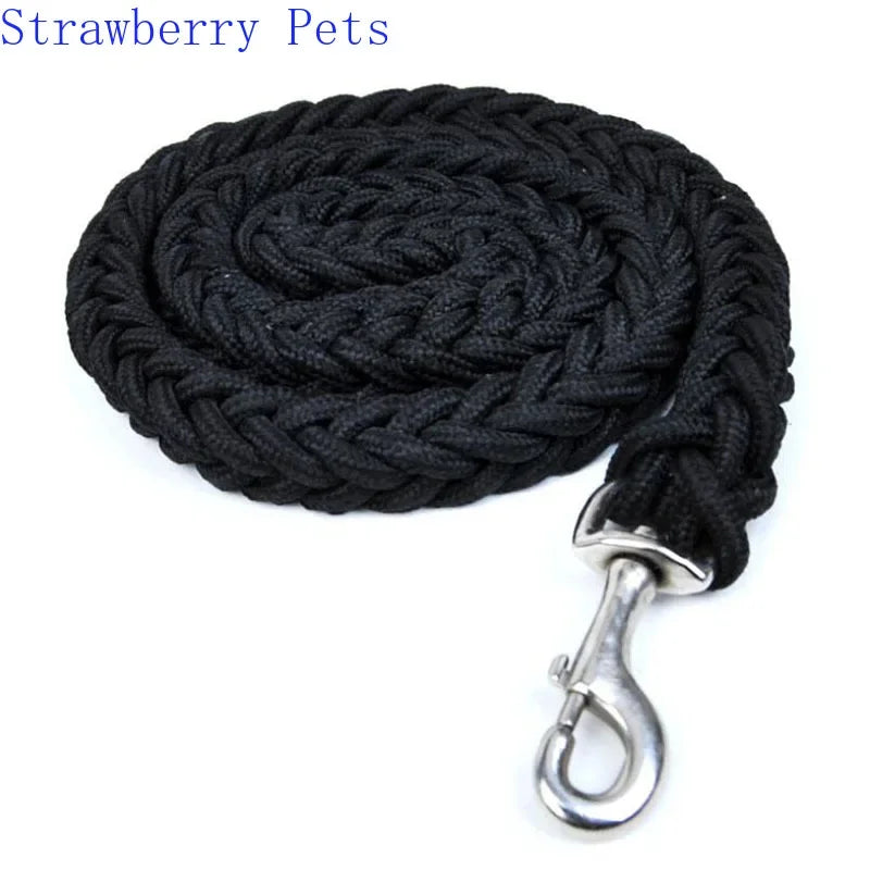 Strong Nylon Dog Leash and Collar Set