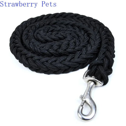 Strong Nylon Dog Leash and Collar Set
