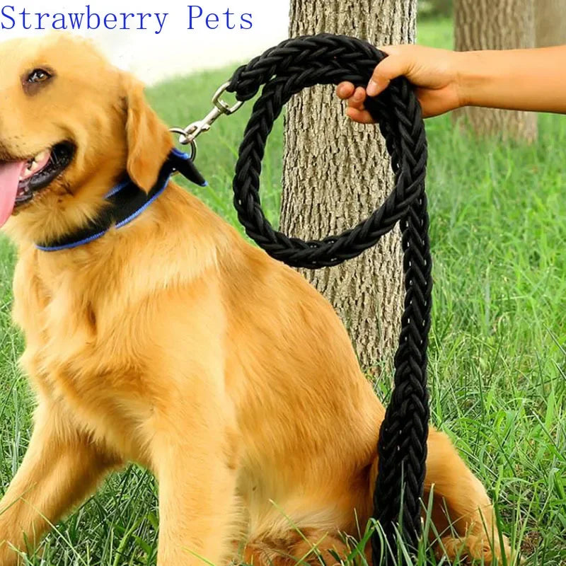 Strong Nylon Dog Leash and Collar Set