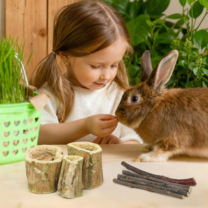 Papaya Wood Chew Sticks for Rabbits