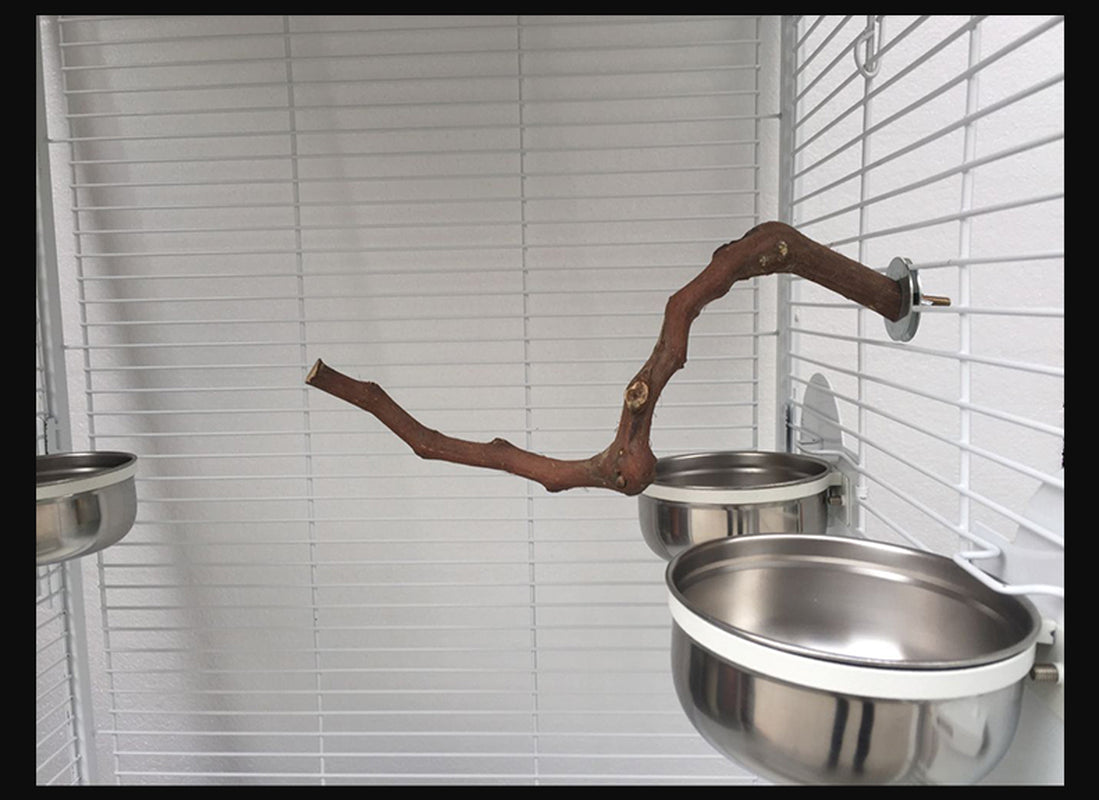 Natural Vine Bird Perch