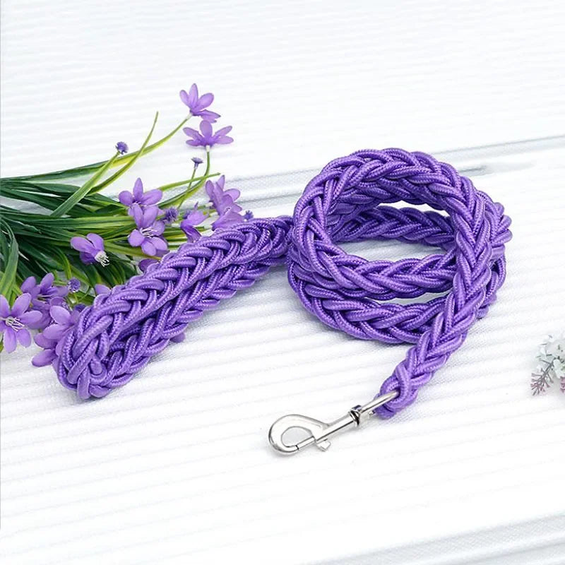 Strong Nylon Dog Leash and Collar Set