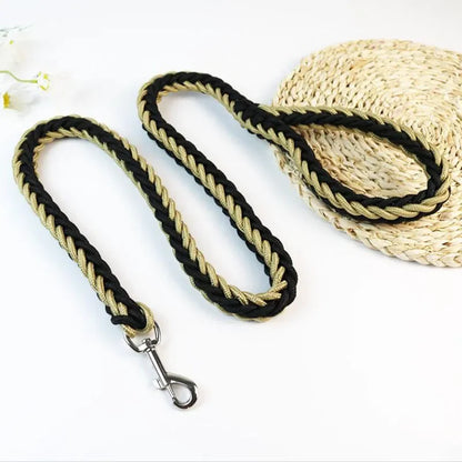 Strong Nylon Dog Leash and Collar Set