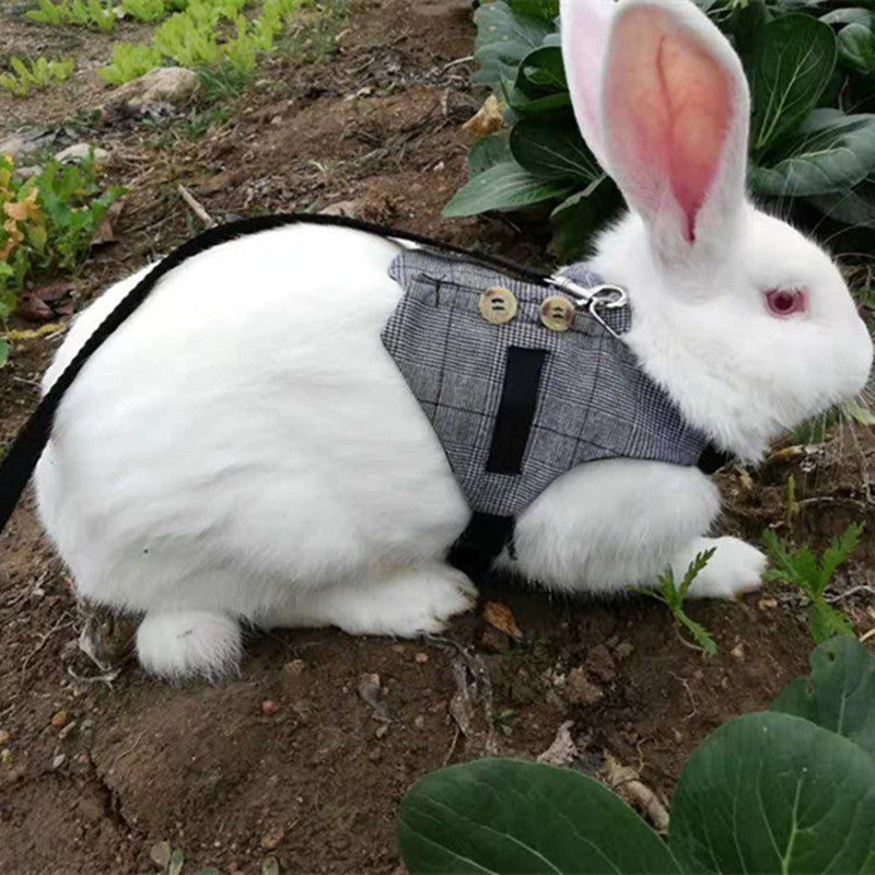 Rabbit Harness and Leash Set