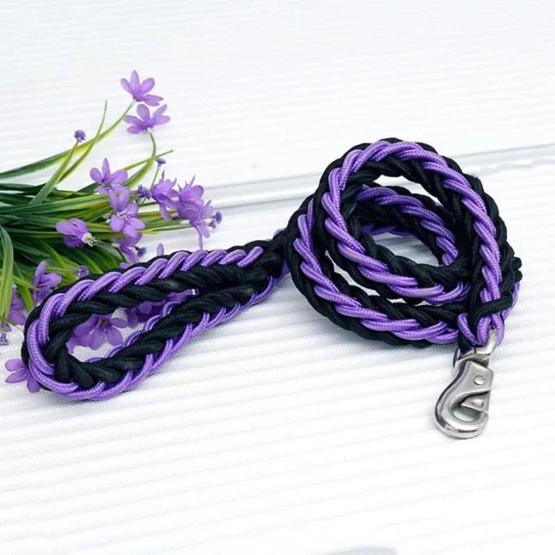 Strong Nylon Dog Leash and Collar Set