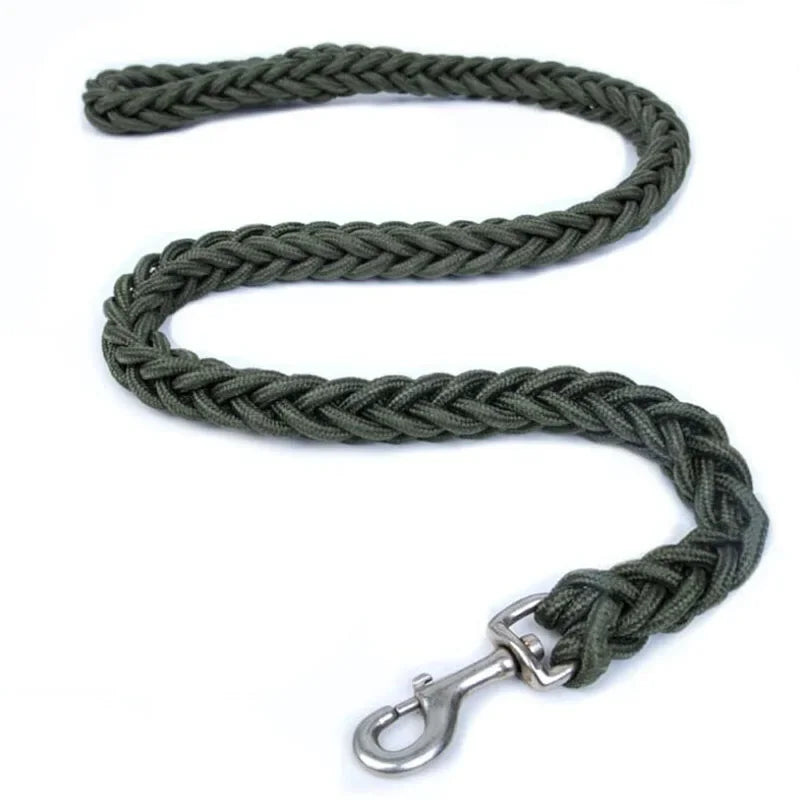 Strong Nylon Dog Leash and Collar Set
