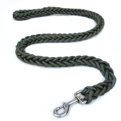 Strong Nylon Dog Leash and Collar Set
