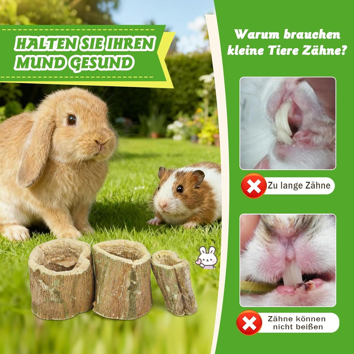 Papaya Wood Chew Sticks for Rabbits