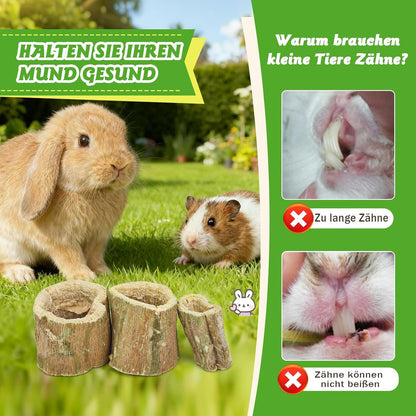 Papaya Wood Chew Sticks for Rabbits