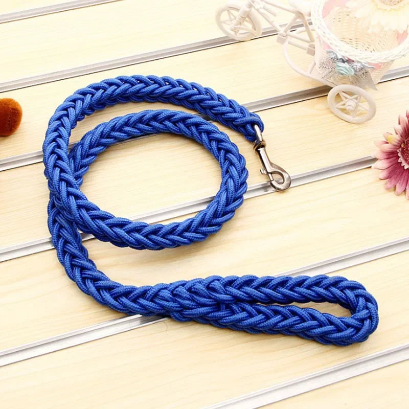 Strong Nylon Dog Leash and Collar Set