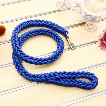 Strong Nylon Dog Leash and Collar Set
