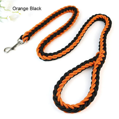 Strong Nylon Dog Leash and Collar Set