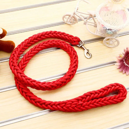 Strong Nylon Dog Leash and Collar Set