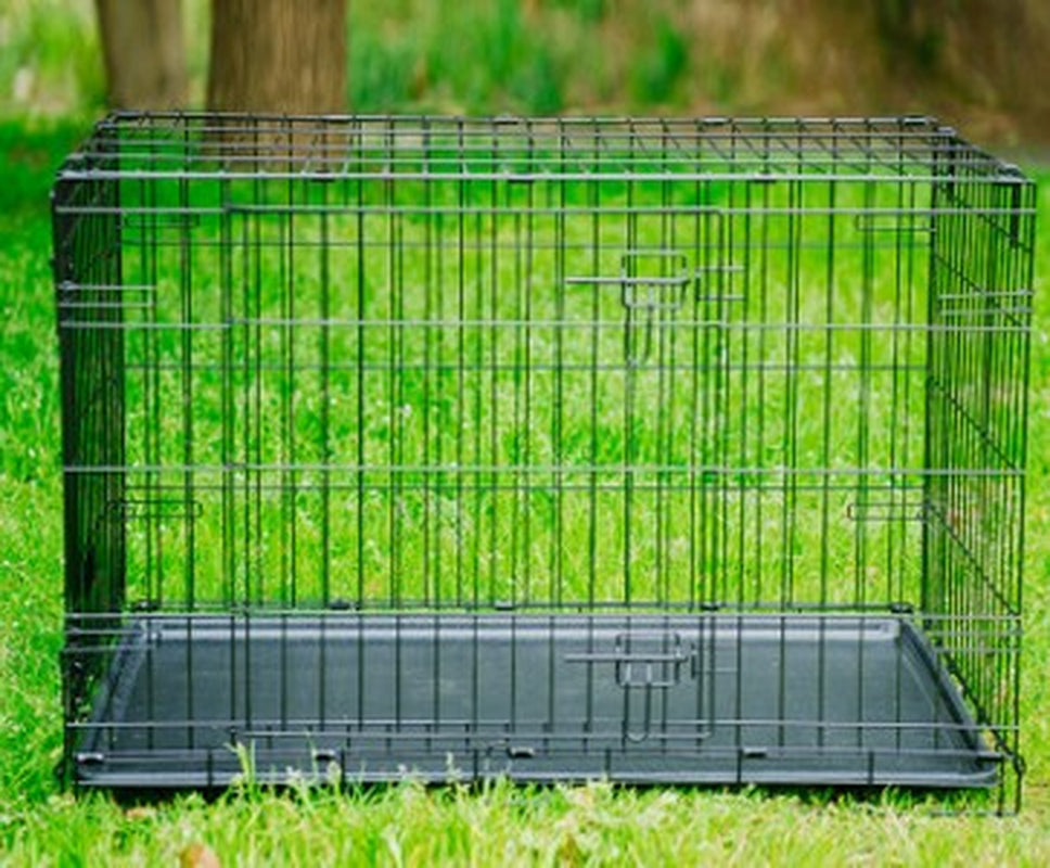 Folding Metal Dog Crate