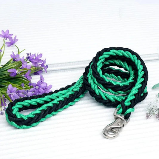 Strong Nylon Dog Leash and Collar Set