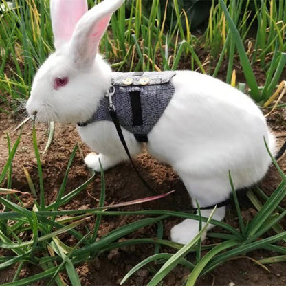 Rabbit Harness and Leash Set