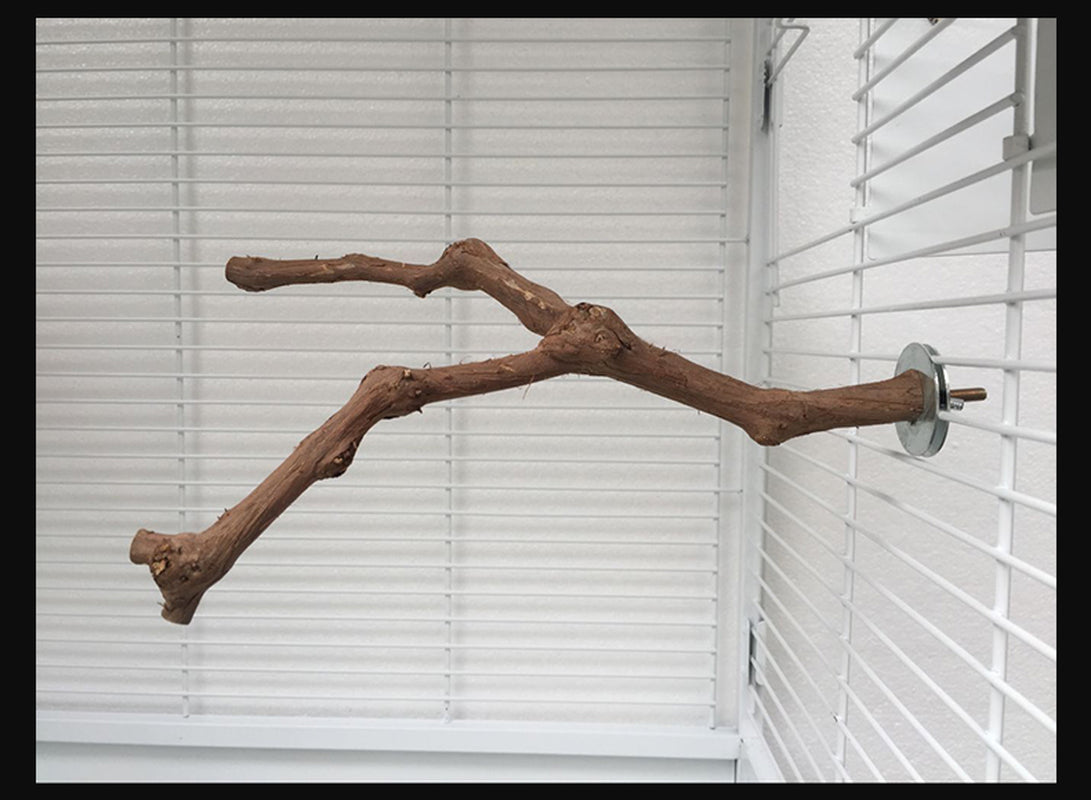 Natural Vine Bird Perch