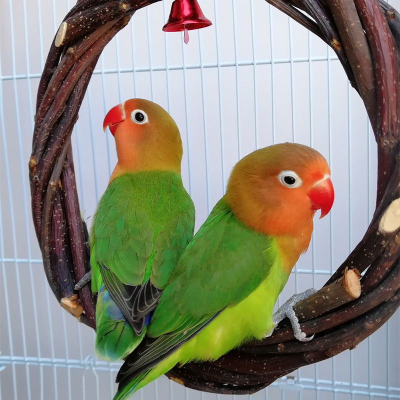 Wooden Bird Perch Ring Toy