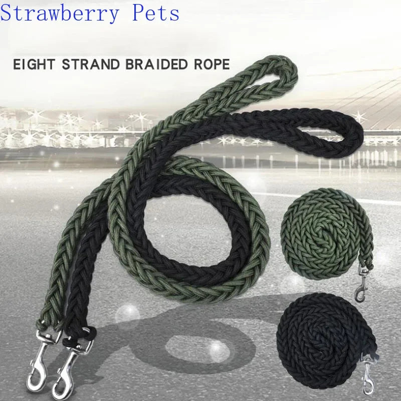 Strong Nylon Dog Leash and Collar Set