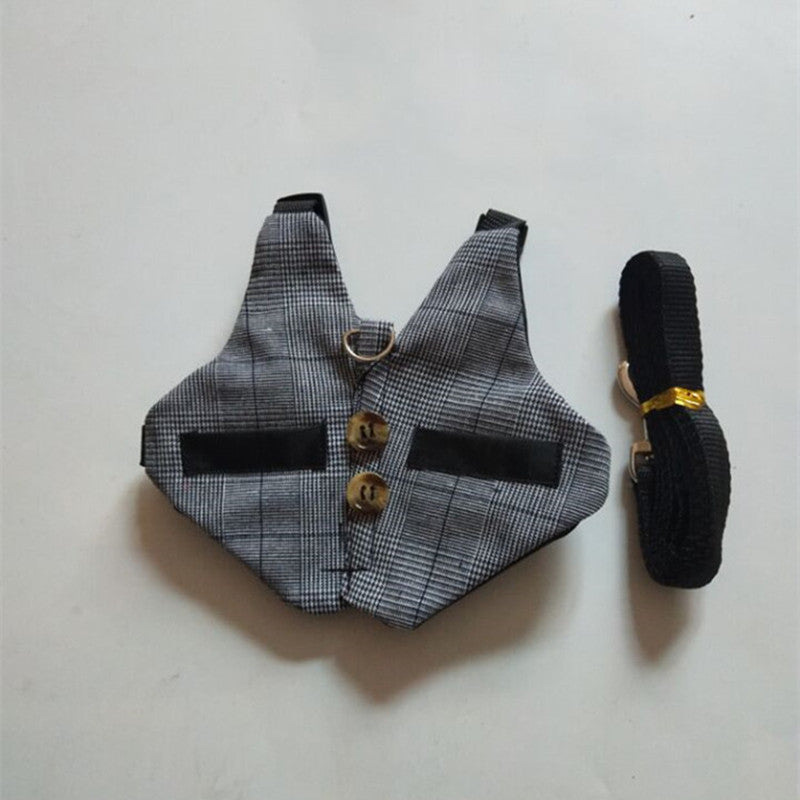 Rabbit Harness and Leash Set