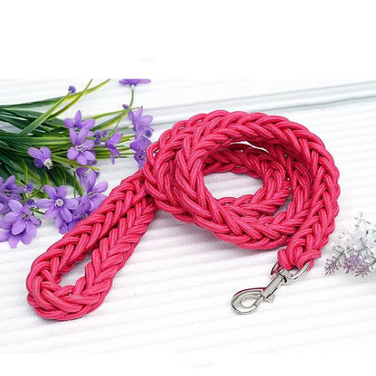 Strong Nylon Dog Leash and Collar Set