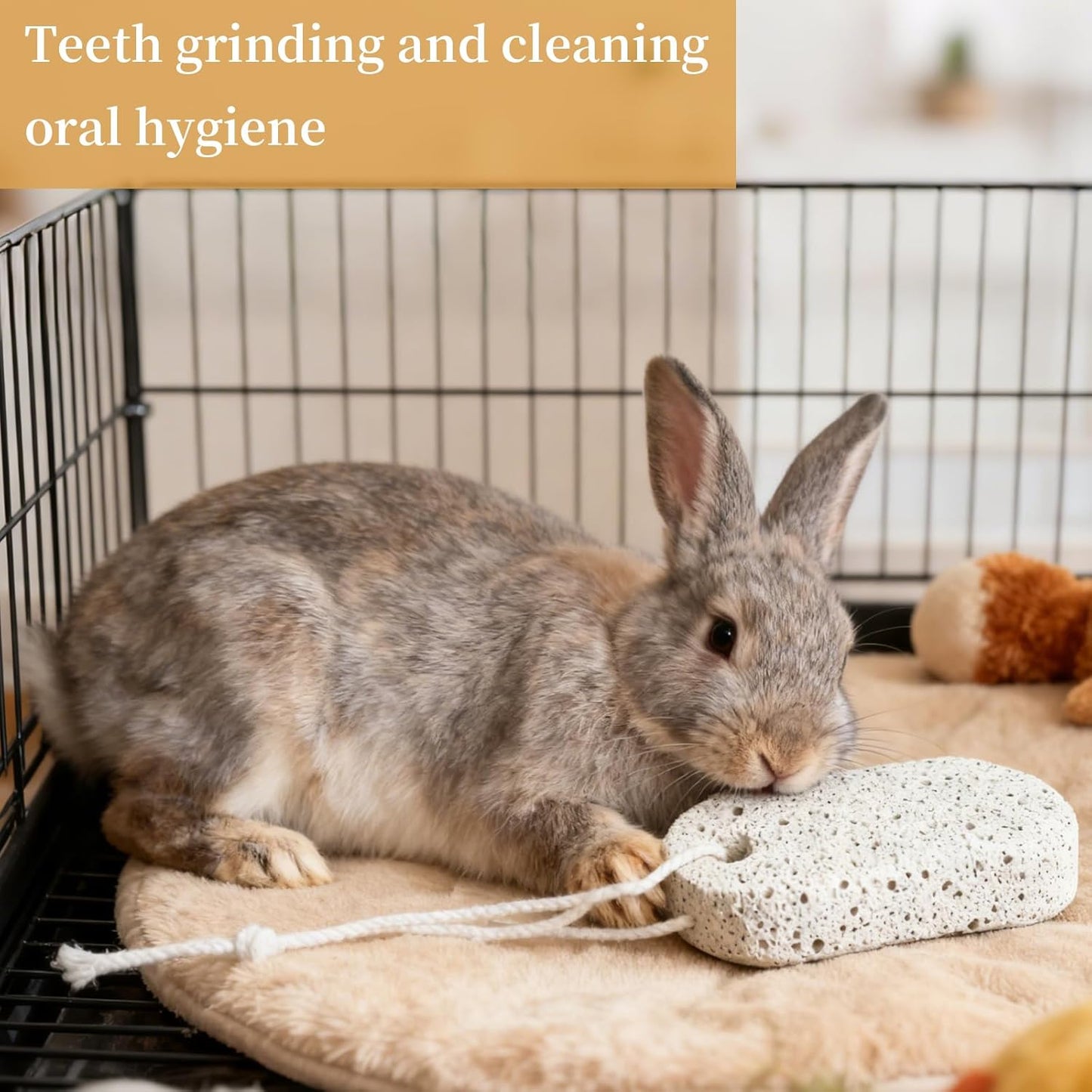 Mineral Chew Stones for Small Animals
