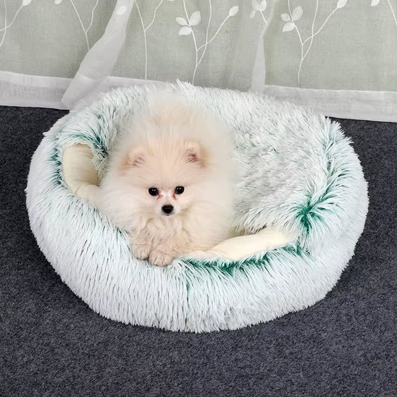 2-in-1 Round Plush Cat Bed