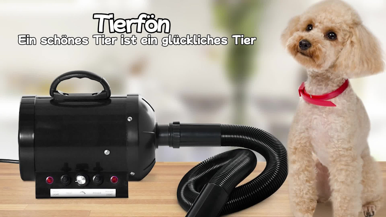 Professional 2800 W Pet Dryer