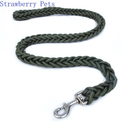 Strong Nylon Dog Leash and Collar Set