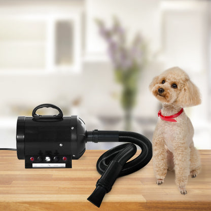 Professional 2800 W Pet Dryer