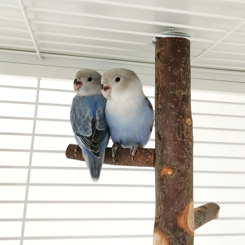 Wooden Parrot Stand Toy
