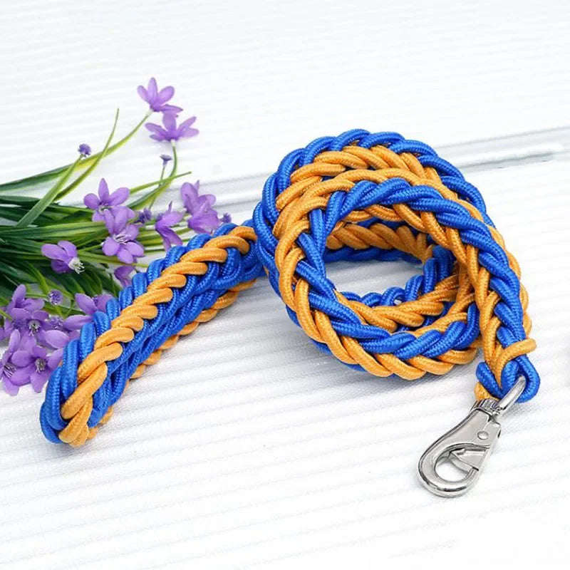 Strong Nylon Dog Leash and Collar Set