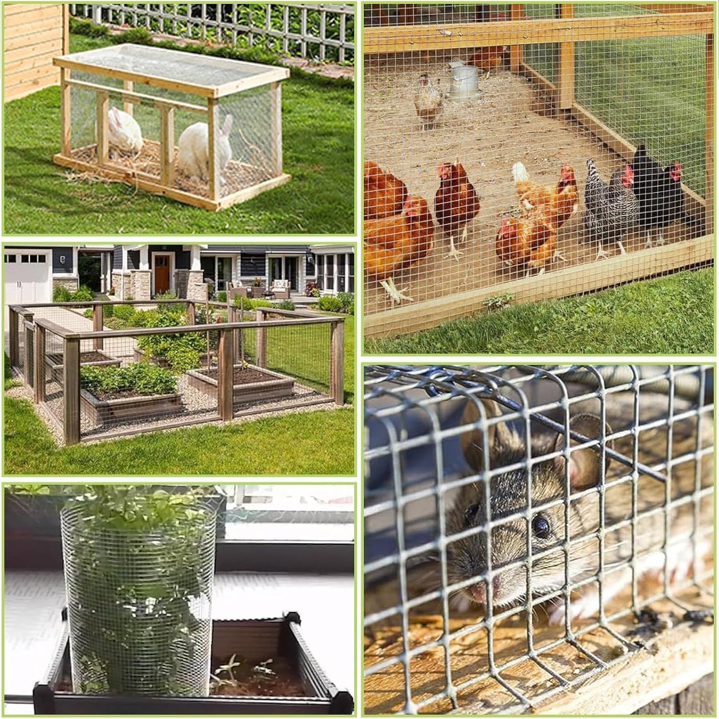 Galvanized Wire Mesh Roll for Cages and DIY