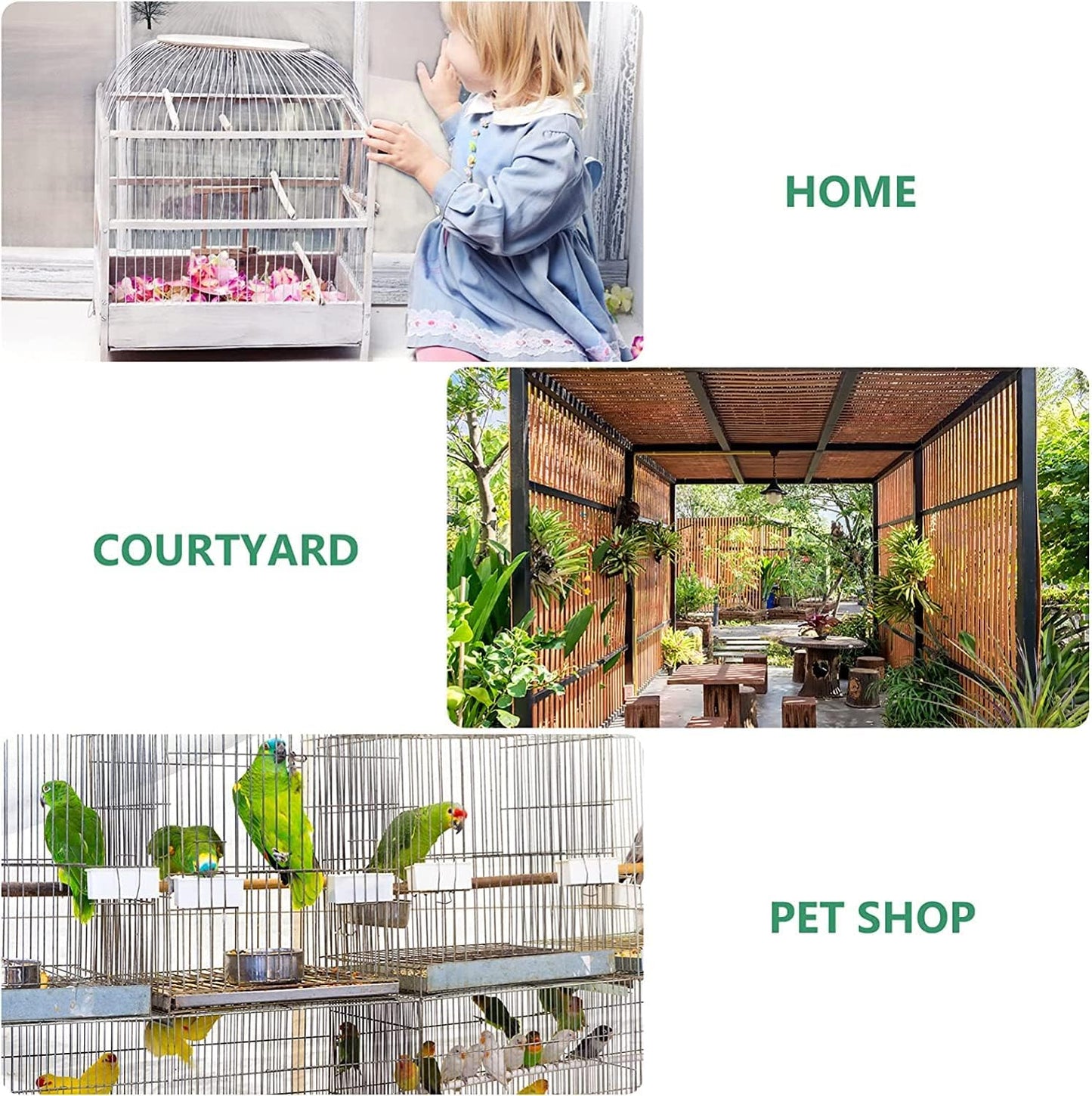 Automatic Bird Water & Food Dispenser Set