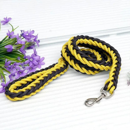 Strong Nylon Dog Leash and Collar Set