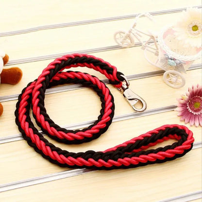 Strong Nylon Dog Leash and Collar Set