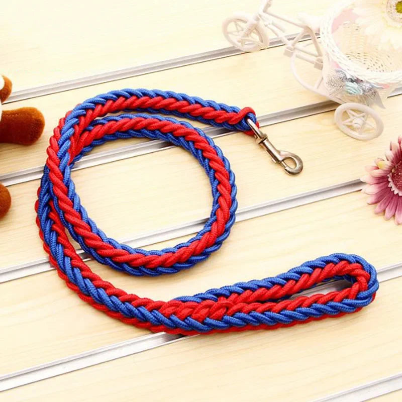 Strong Nylon Dog Leash and Collar Set