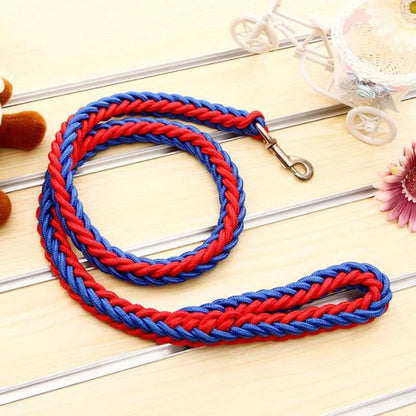 Strong Nylon Dog Leash and Collar Set