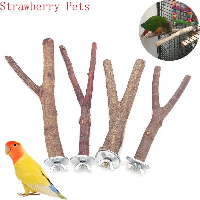 Natural Wooden Bird Perch and Chew Stick