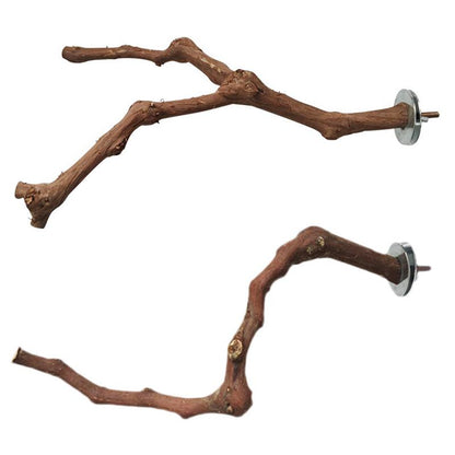 Natural Vine Bird Perch