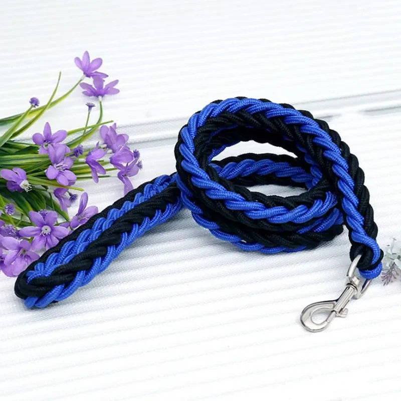 Strong Nylon Dog Leash and Collar Set