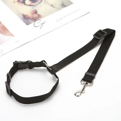 Verstellbarer Hunde-Autosicherheitsgurt