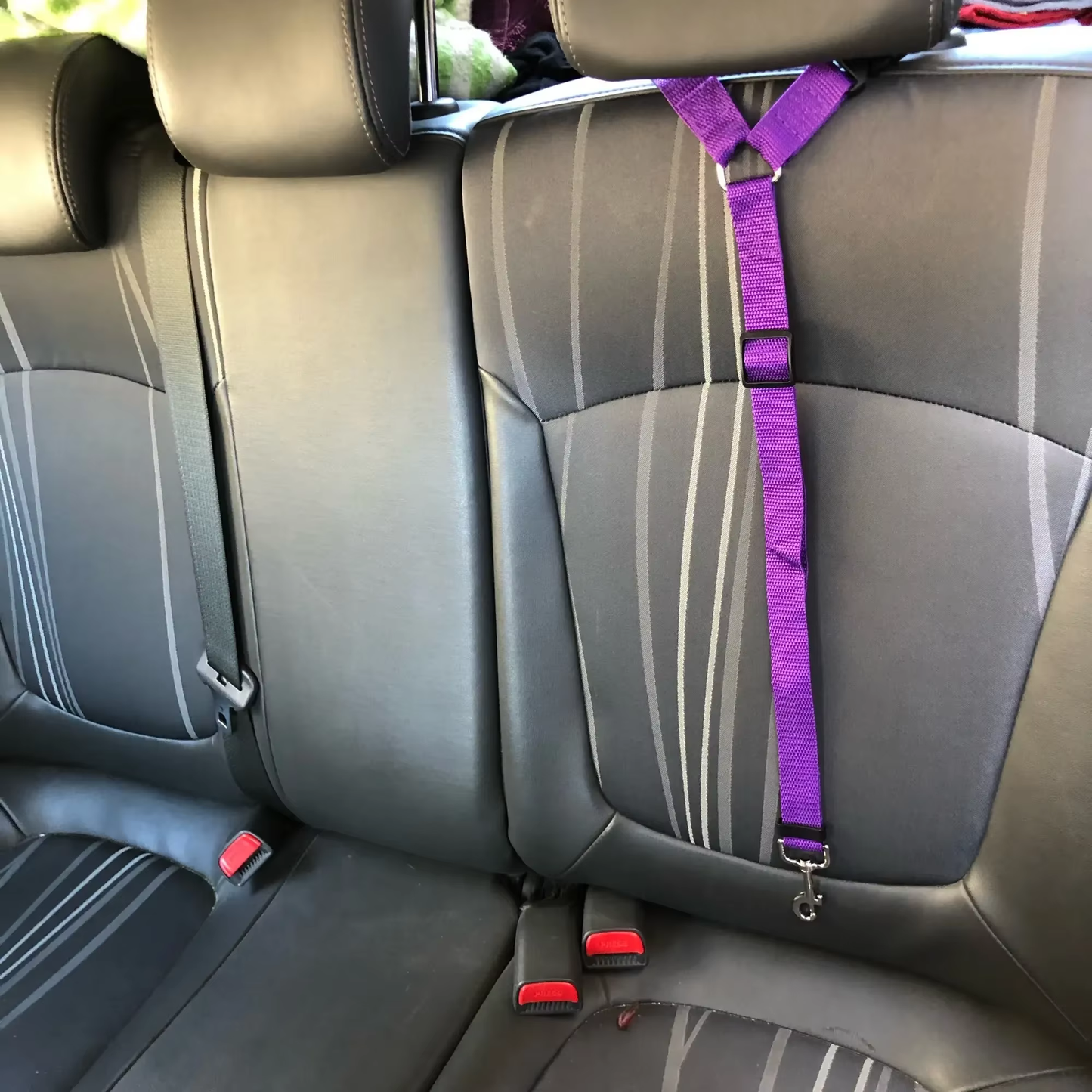 Verstellbarer Hunde-Autosicherheitsgurt