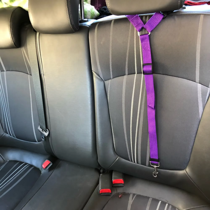 Verstellbarer Hunde-Autosicherheitsgurt
