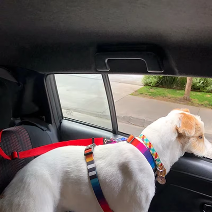 Verstellbarer Hunde-Autosicherheitsgurt