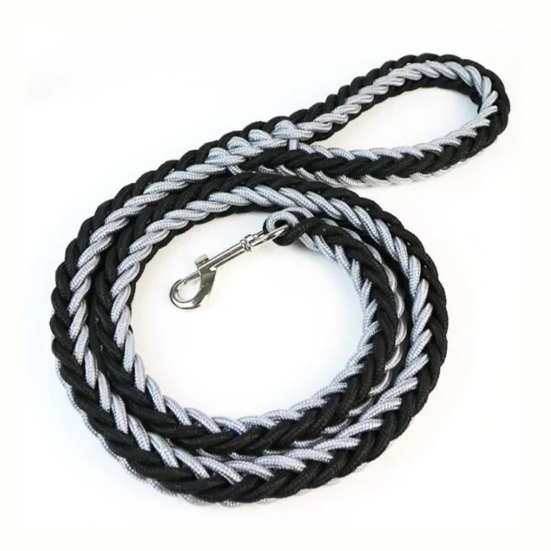 Strong Nylon Dog Leash and Collar Set