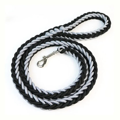 Strong Nylon Dog Leash and Collar Set