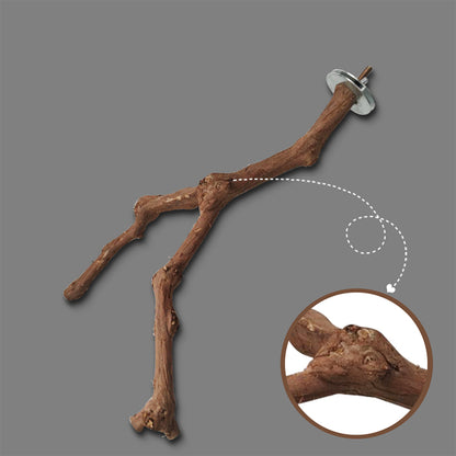 Natural Vine Bird Perch